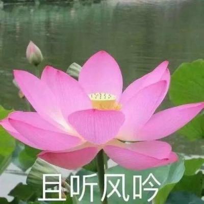 「NILTE盛大启幕」六月盛夏，济南物流行业...